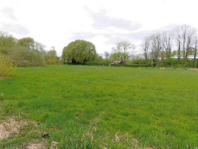 Blick auf Flurstück 128 und Umgebung - Zwei Landwirtschaftsflächen im nördlichen Berliner Speckgürtel