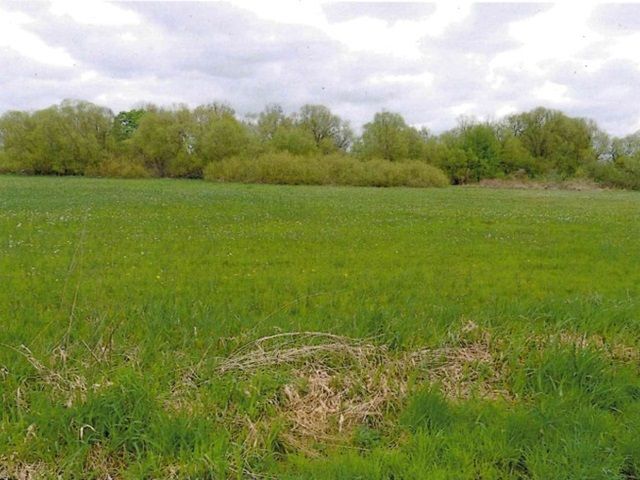 Blick auf Flurstück 120 und Umgebung - Zwei Landwirtschaftsflächen im nördlichen Berliner Speckgürtel