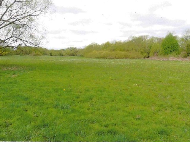 Blick auf Flurstück 120 und Umgebung - Zwei Landwirtschaftsflächen im nördlichen Berliner Speckgürtel