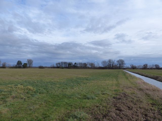 Blick Richtung Verkaufsfläche und auf die Umgebung - Vertragsfreies mit Wildwuchs bewachsenes Grundstück mit über 1,4 ha südlich von Berlin