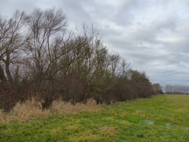 Blick auf Verkaufsfläche und Umgebung - Vertragsfreies mit Wildwuchs bewachsenes Grundstück mit über 1,4 ha südlich von Berlin