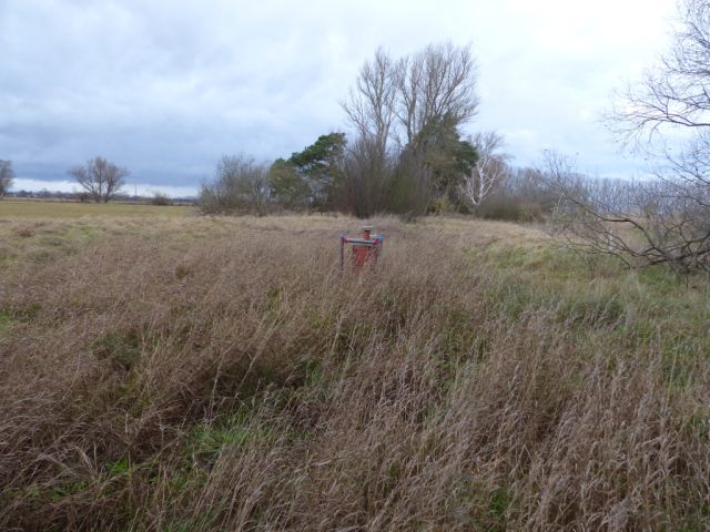 Blick auf die Messstelle auf der Verkaufsfläche - Vertragsfreies mit Wildwuchs bewachsenes Grundstück mit über 1,4 ha südlich von Berlin