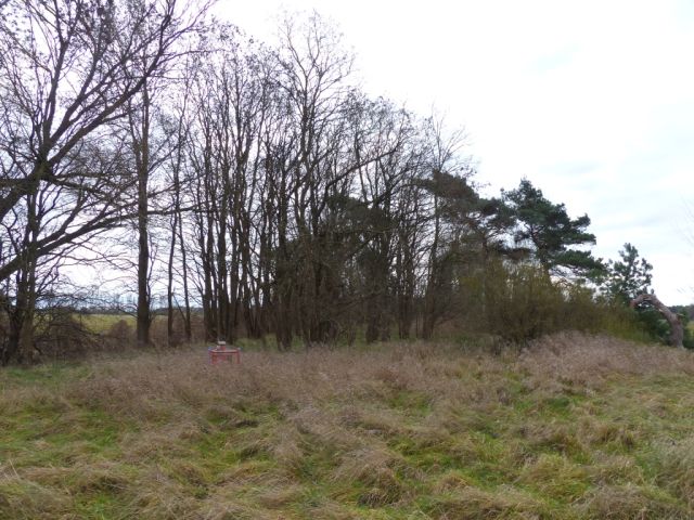 Blick auf die Messstelle auf der Verkaufsfläche - Vertragsfreies mit Wildwuchs bewachsenes Grundstück mit über 1,4 ha südlich von Berlin