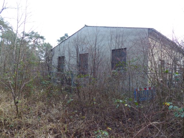Blick auf Verkaufsfläche und Umgebung - Kleine mit Wildwuchs bewachsene Freifläche hinter einem bebauten Grundstück in Ludwigsfelde