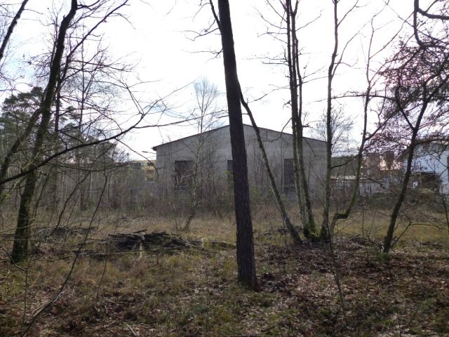 Blick Richtung Verkaufsfläche und auf die Umgebung - Kleine mit Wildwuchs bewachsene Freifläche hinter einem bebauten Grundstück in Ludwigsfelde