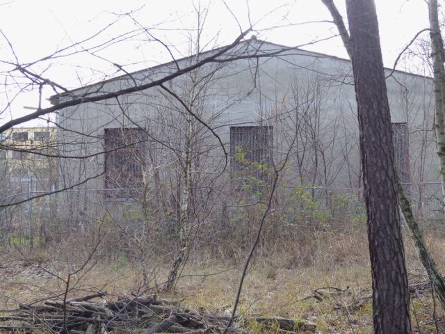 Blick auf Verkaufsfläche und Umgebung - Kleine mit Wildwuchs bewachsene Freifläche hinter einem bebauten Grundstück in Ludwigsfelde