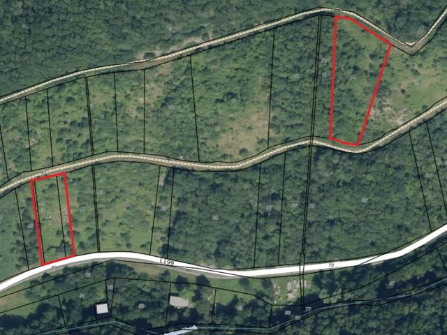 Lageskizze mit Luftbildunterlegung - Vertragsfreie Grundstücke im Moseltal **lt. Grundbuch Waldflächen**