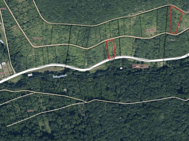 Lageskizze mit Umgebung und Luftbildunterlegung - Vertragsfreie Grundstücke im Moseltal **lt. Grundbuch Waldflächen**