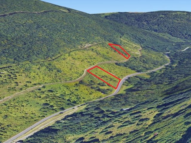 Lage Verkaufsflächen und Umgebung - Vertragsfreie Grundstücke im Moseltal **lt. Grundbuch Waldflächen**