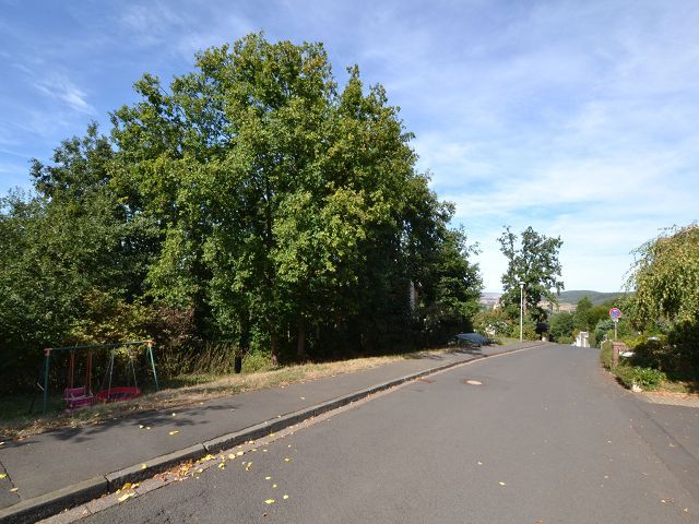 Ansicht Waldstraße - Aufnahme aus 2018 - Baugrundstück in starker Hanglage ca. 35 km von der Kasseler Innenstadt und ca. 28 km vom VW-Werk entfernt
