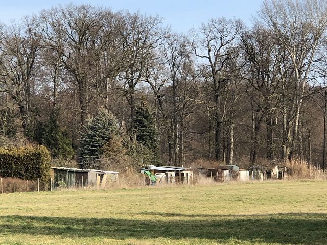 Blick auf Verkaufsfläche und Umgebung - Aufnahme aus 2020 - Verpachtete Kleingartenfläche in Neuhardenberg zwischen Wohnbebauung und Schlosspark