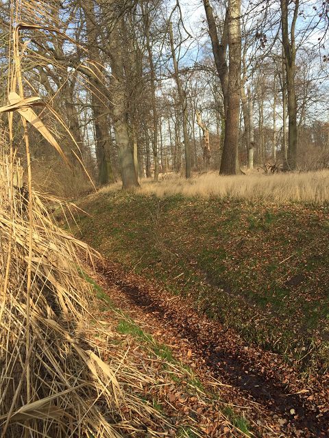 Blick auf Fließgewässer „Koppelgraben 1“ im östlichen Bereich - Aufnahme aus 2020 - Verpachtete Kleingartenfläche in Neuhardenberg zwischen Wohnbebauung und Schlosspark