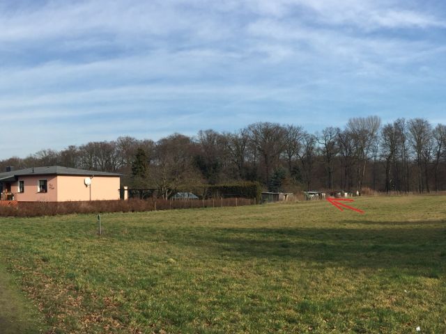 Blick auf Umgebung und Lage der Verkaufsfläche - Aufnahme aus 2020 - Verpachtete Kleingartenfläche in Neuhardenberg zwischen Wohnbebauung und Schlosspark