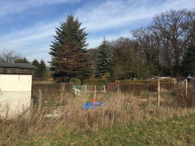 Blick auf Verkaufsobjekt mit Fremdaufbauten - Aufnahme aus 2020 - Verpachtete Kleingartenfläche in Neuhardenberg zwischen Wohnbebauung und Schlosspark