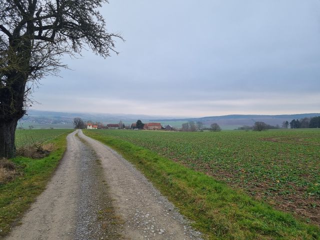 Umgebung - 1/2 Miteigentumsanteil an einer verpachteten Landwirtschaftsfläche südöstlich der Kleinsiedlung Hetzeberg