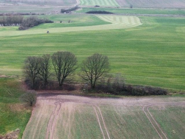 Verkaufsfläche und Umgebung - 1/2 Miteigentumsanteil an einer verpachteten Landwirtschaftsfläche südöstlich der Kleinsiedlung Hetzeberg