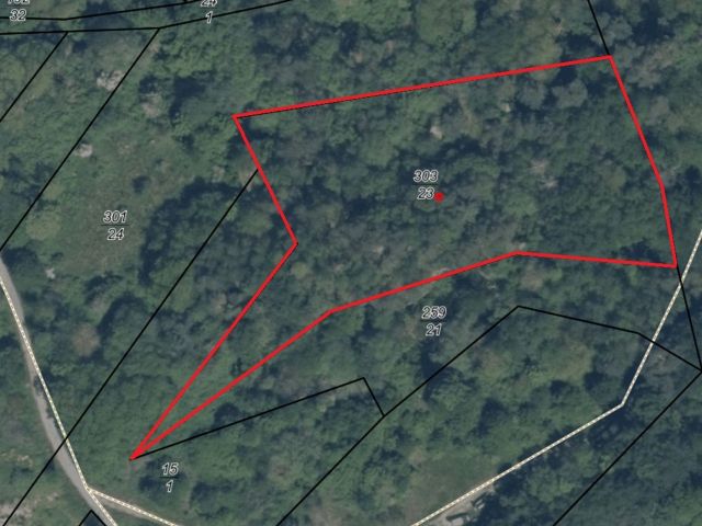 Lageskizze - Waldfläche in der Vordereifel ca. 30 km westlich von Koblenz am Vulkanpfad und an der Flanke des Bellerbergvulkans