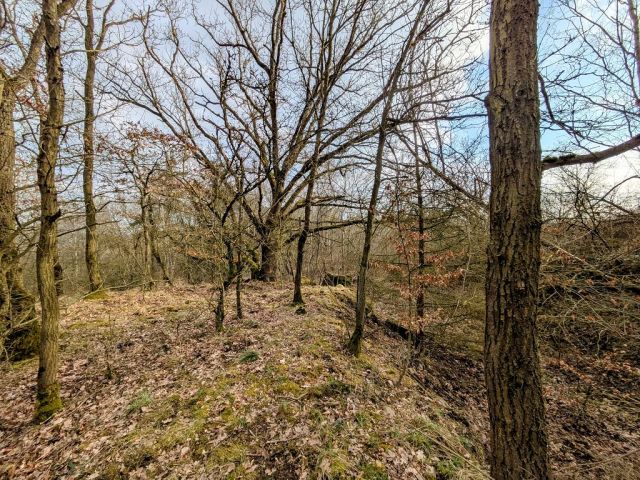 Blick auf Verkaufsfläche und Umgebung - Waldfläche in der Vordereifel ca. 30 km westlich von Koblenz am Vulkanpfad und an der Flanke des Bellerbergvulkans
