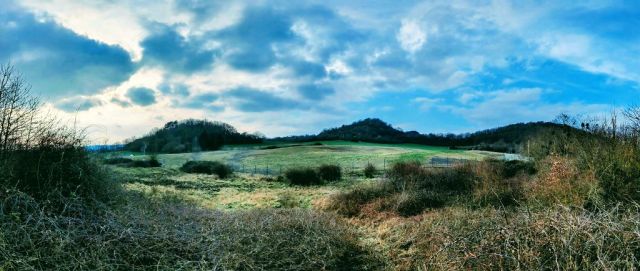 Blick in die Umgebung - Waldfläche in der Vordereifel ca. 30 km westlich von Koblenz am Vulkanpfad und an der Flanke des Bellerbergvulkans