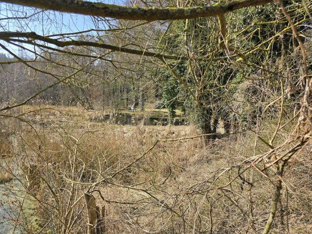 Blick über den Teich Richtung Flurstück 810 und auf die Umgebung von Osten - Zwei Freiflächen mit vertragsloser Nutzung im nördlichen Berliner Speckgürtel