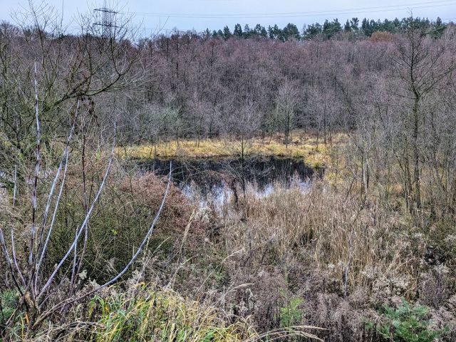 Blick auf die Umgebung - Zwei Freiflächen mit vertragsloser Nutzung im nördlichen Berliner Speckgürtel