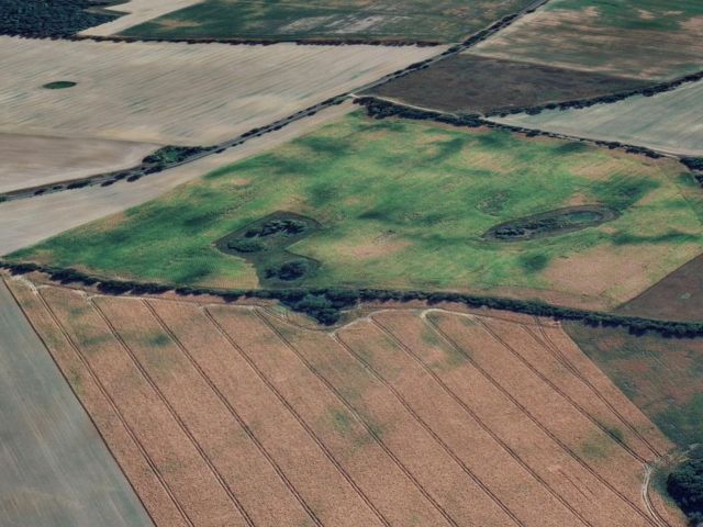 Blick auf die Verkaufsfläche und Umgebung - Vertragsfreier Waldstreifen (sog. Teil eines Agroforstsystems) etwa 36 km vom Berliner Ring entfernt