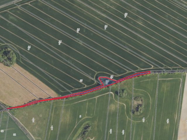 Lageskizze mit Luftbildunterlegung - Vertragsfreier Waldstreifen (sog. Teil eines Agroforstsystems) etwa 36 km vom Berliner Ring entfernt