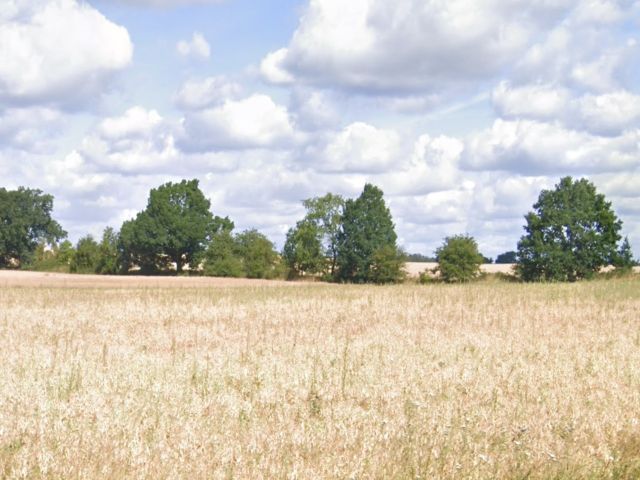 Blick Richtung Verkaufsobjekt mit Umgebung - Vertragsfreier Waldstreifen (sog. Teil eines Agroforstsystems) etwa 36 km vom Berliner Ring entfernt