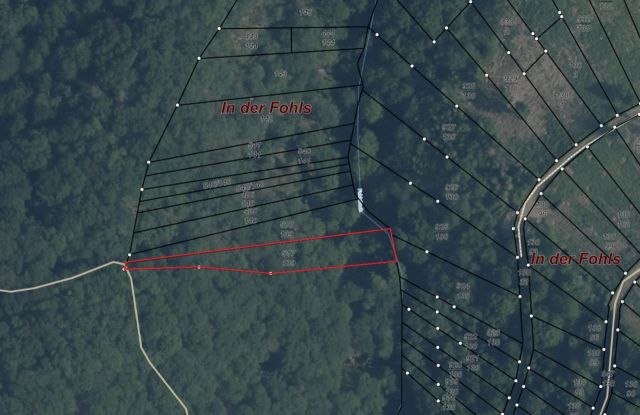 Lageskizze - Bewaldete Fläche am ´Fahlsbach´ im Wein- und Ferienort Ernst an der Mosel