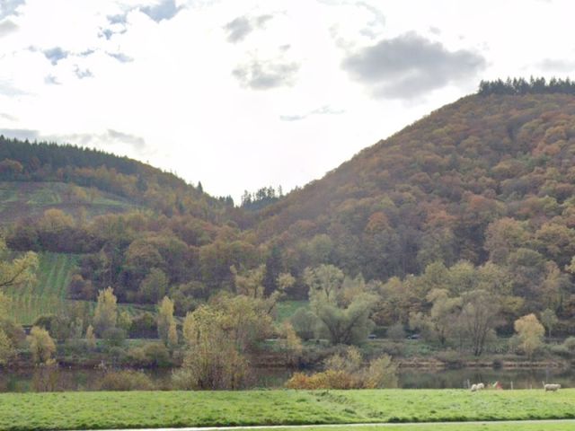 Blick Richtung Verkaufsgegenstand und auf die Umgebung - Bewaldete Fläche am ´Fahlsbach´ im Wein- und Ferienort Ernst an der Mosel