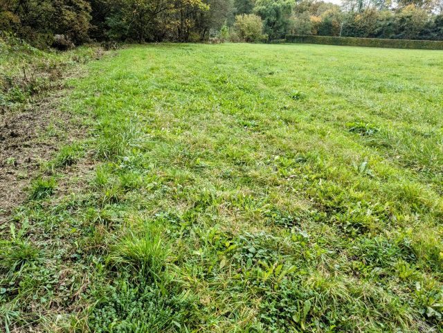Blick auf Verkaufsfläche und Umgebung - Gepflegte Grünfläche hinter Wohnbebauung direkt am ´Mühlenbach´ ca. 10 km nördlich von Koblenz