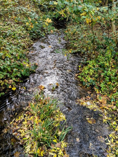 Blick auf den Mühlenbach - Gepflegte Grünfläche hinter Wohnbebauung direkt am ´Mühlenbach´ ca. 10 km nördlich von Koblenz