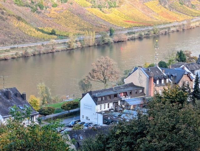 Blick in die Umgebung - Bewaldete Hangfläche oberhalb von Cochem mit Blick auf die Mosel**vertragsfrei**