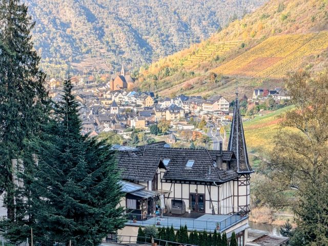 Blick in die Umgebung - Bewaldete Hangfläche oberhalb von Cochem mit Blick auf die Mosel**vertragsfrei**