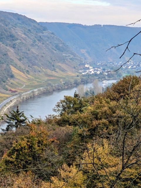 Blick vom Grundstück in die Umgebung - Bewaldete Hangfläche oberhalb von Cochem mit Blick auf die Mosel**vertragsfrei**