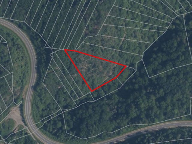 Lageskizze - Bewaldete Hangfläche oberhalb von Cochem mit Blick auf die Mosel**vertragsfrei**