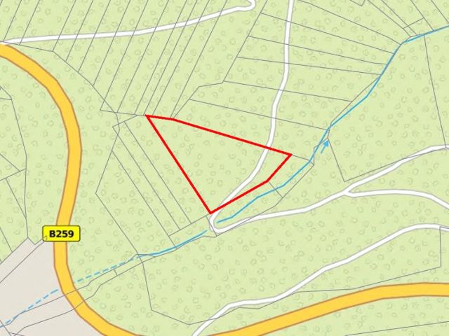 Lageskizze - Bewaldete Hangfläche oberhalb von Cochem mit Blick auf die Mosel**vertragsfrei**