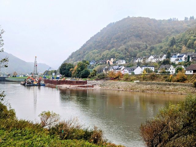 Blick vom Verkaufsgrundstück in die Umgebung - Brachliegender, ehemaliger Weinberg in der Weinbaulage ´Niederfeller Kahlley´ neben Weinbergen oberhalb der Mosel