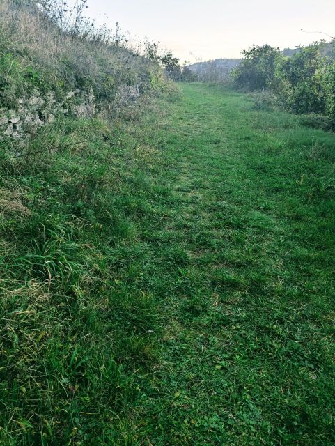 Verkaufsgegenstand - Weinbergbrachen in der Weinlage Pinnerkreuzberg oberhalb eines Campingplatzes **vertragsfrei**