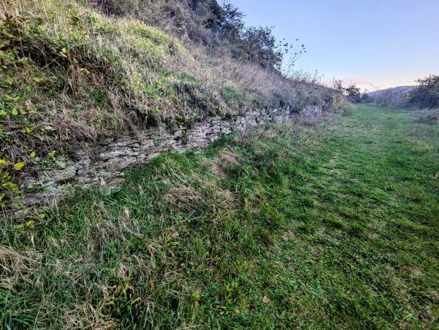 Blick auf den Verkaufsgegenstand - Weinbergbrachen in der Weinlage Pinnerkreuzberg oberhalb eines Campingplatzes **vertragsfrei**