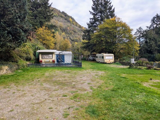 Angrenzender Campingplatz - Weinbergbrachen in der Weinlage Pinnerkreuzberg oberhalb eines Campingplatzes **vertragsfrei**