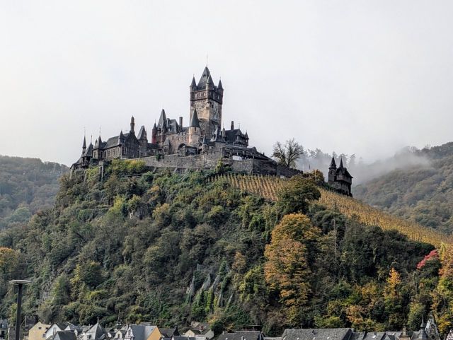 Blick n die Umgebung - Reichsburg - Weinbergbrachen in der Weinlage Pinnerkreuzberg oberhalb eines Campingplatzes **vertragsfrei**