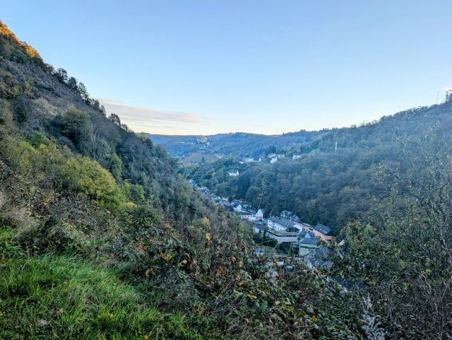 Blick vom Grundstück in die Umgebung - Weinbergbrachen in der Weinlage Pinnerkreuzberg oberhalb eines Campingplatzes **vertragsfrei**