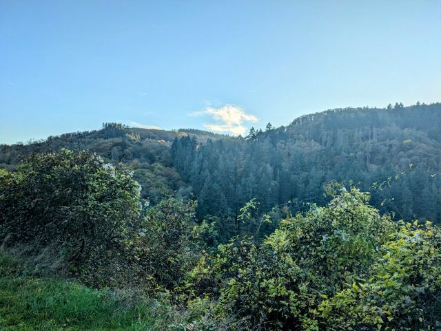 Blick vom Grundstück in die Umgebung - Weinbergbrachen in der Weinlage Pinnerkreuzberg oberhalb eines Campingplatzes **vertragsfrei**