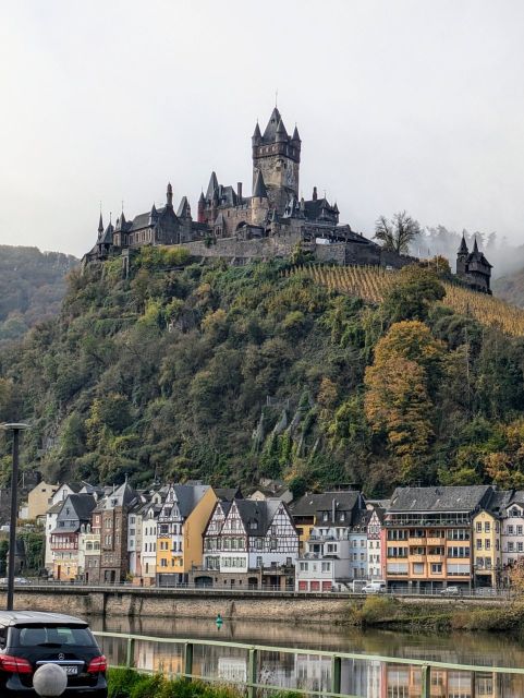 Umgebung - Cochem und die Reichsburg - Weinbergsbrachen hinter Wohnbebauung nahe der Cochemer Sesselbahn **vertragsfrei**