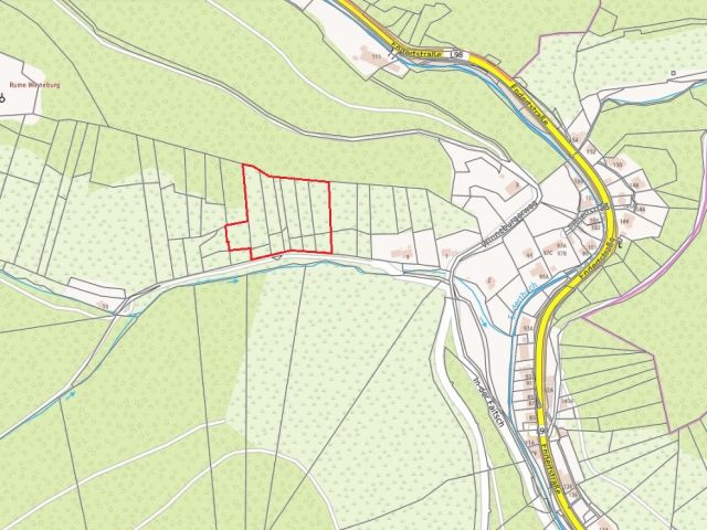 Lage des Verkaufsgegenstandes - Wald in der Weinlage Pinnerkreuzberg an der Winneburg **vertragsfrei**