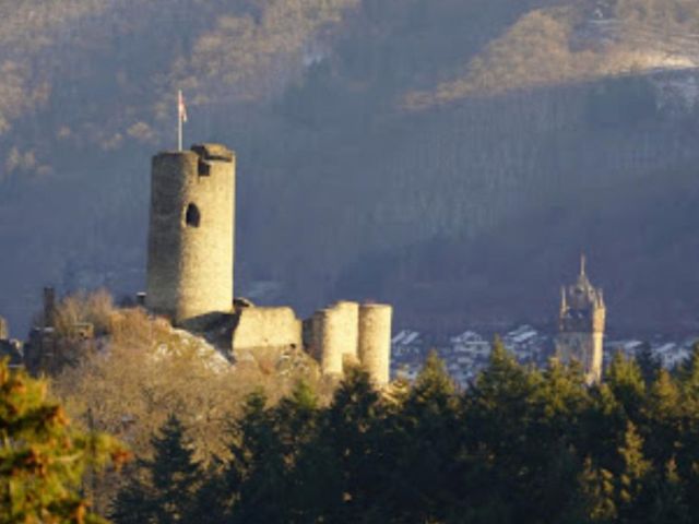 Umgebung - Winneburg - Wald in der Weinlage Pinnerkreuzberg an der Winneburg **vertragsfrei**