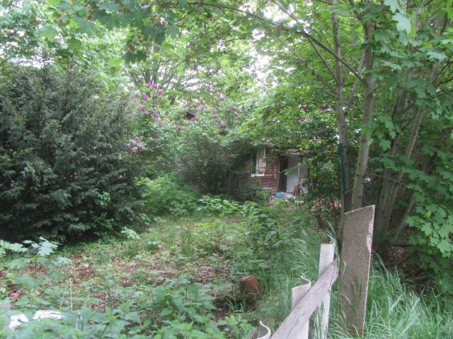 Blick Richtung Baracke - Grundstück mit ehemaliger Wohnbaracke **zentrumsnahe Lage am Bahnhof Güsten**