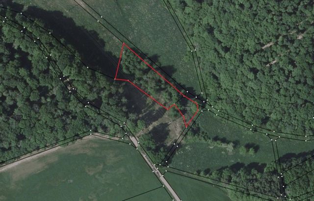 Umgebungsskizze - Vertragsfreies Grundstück mit Gehölzbewuchs im Donnersbergkreis