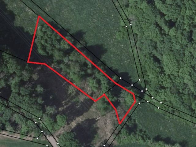 Lageskizze - Vertragsfreies Grundstück mit Gehölzbewuchs im Donnersbergkreis